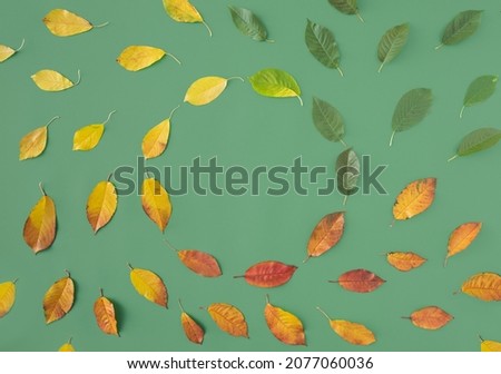 Red, green and yellow leaves forming a circle like movement of life or a cycle of year concept on green background in flat lay
