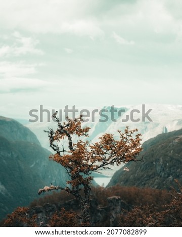 Two little birds living on the mountains Royalty-Free Stock Photo #2077082899