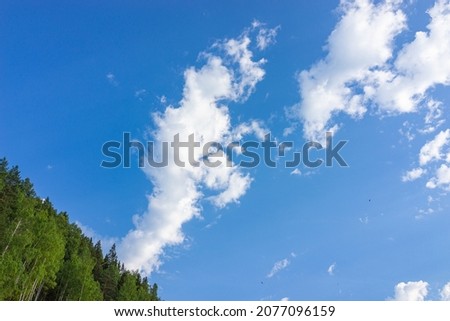 Beautiful blue sky with white clouds. Green trees. Natural background.
