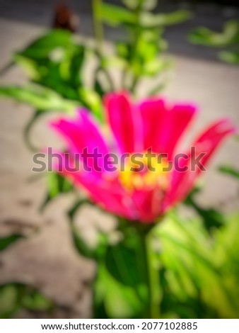 Defocus abstract background of pink flowers
