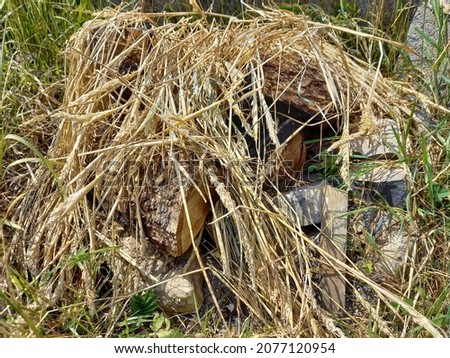 Insect hotel made of logs and straw Royalty-Free Stock Photo #2077120954
