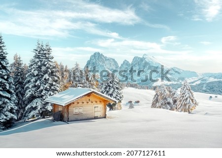 Picturesque landscape with small wooden log cabin on meadow Alpe di Siusi on winter time. Seiser Alm, Dolomites, Italy. Snowy hills with orange larch and Sassolungo and Langkofel mountains group Royalty-Free Stock Photo #2077127611