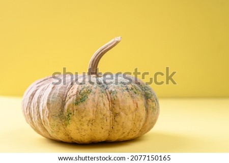 Organic Asian pumpkin on yellow background