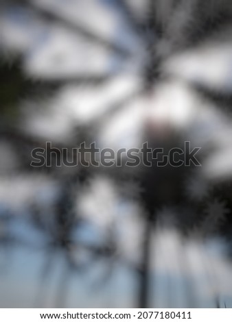 Defocused abstract background of palm trees on the beach taken from the bottom view and lightened by the sun