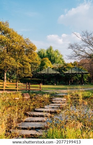 Hanbat Arboretum autumn nature scenery in Daejeon, Korea