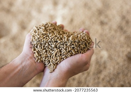 Hands holding bunch of fodder for calfs, livestock feed. Royalty-Free Stock Photo #2077235563