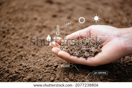 Top view of soil in hands for check the quality of the soil for control soil quality before seed plant. Future agriculture concept. Smart farming, using modern technologies in agriculture Royalty-Free Stock Photo #2077238806