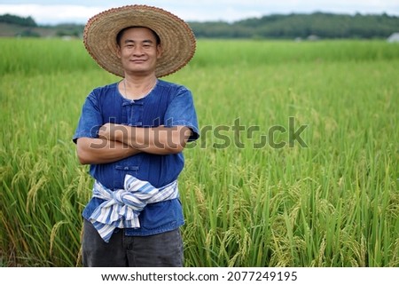 Asian male farmer wear hat ,cross his arms on chest and stands at paddy field. Feel happy, confident and proud in crops. Concept : Agricultural occupation. Thai farmer.                               Royalty-Free Stock Photo #2077249195