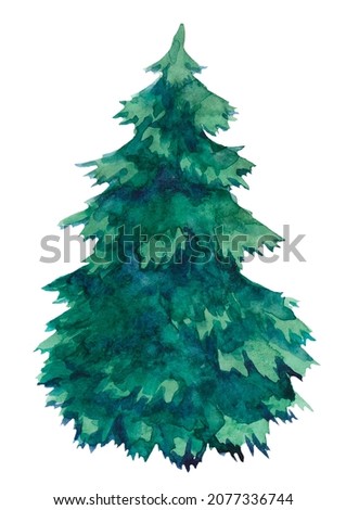 Christmas tree, isolated on white