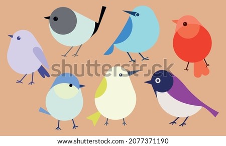 Set of birds in flat style vector illustration colored birds