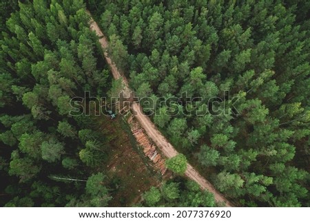 Destruction of forests and felling of trees. Environmetal and ecological issues. Forest harvester during sawing trees in a forest. Forestry tree harvester in woodland on clearing forests. Soft focus. Royalty-Free Stock Photo #2077376920