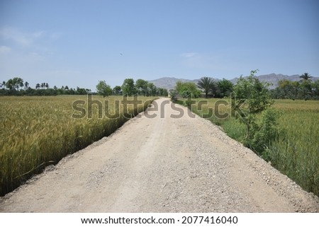 Rural development program. Road leading to success. A picture with greenery and road.