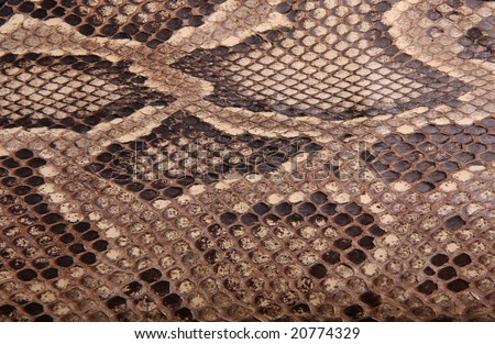 Natural skin of a python 2