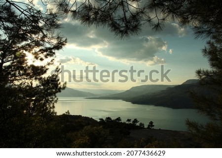 lake view through pine trees