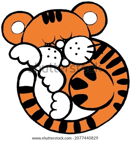 Vector drawing depicting a sleeping cute tiger cub curled up in a ball with white paws