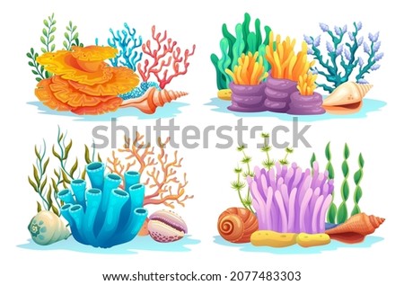 Set of coral reefs with algae, seaweed and seashells in various types cartoon illustration Royalty-Free Stock Photo #2077483303