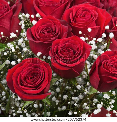 Nice flower bouquet from red roses. Closeup.