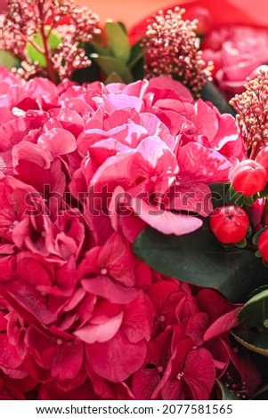 Background image of a bright bouquet of flowers. Pink hydrangea close-up, hypericum and skimia in sunlight. Modern floristry for a luxurious gift for a celebration. Beautiful picture for a postcard
