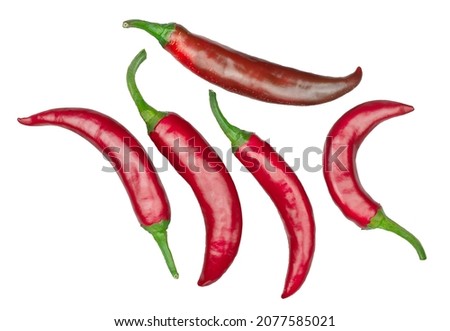 Peppers bitter isolated on a white background, top-down .