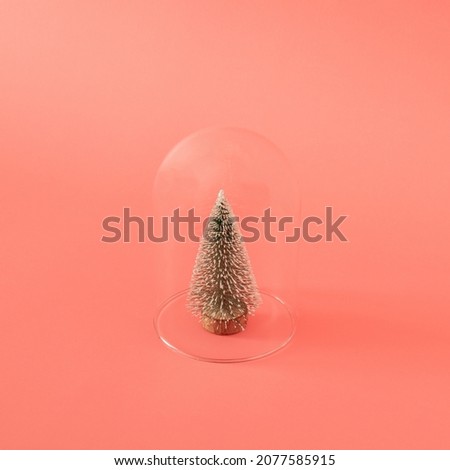 Green Christmas tree with snow in modern glass bell against pastel pink background. Surreal New Year modern background with copy space. Creative decoration idea. Minimalism