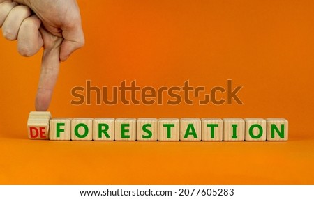 Forestation or deforestaion symbol. Ecologist turns wooden cubes and changes the word deforestation to forestation. Orange background, copy space. Ecological, forestation or deforestaion concept.