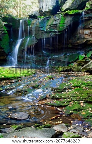 This picture is very beautiful Water green park natural River stone background plant 