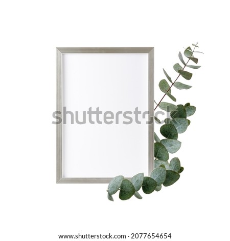Empty silver wooden frame of photo or  poster or picture with eucalyptus twigs isolated on white background. Holiday mockup floral spring card with copy space. 