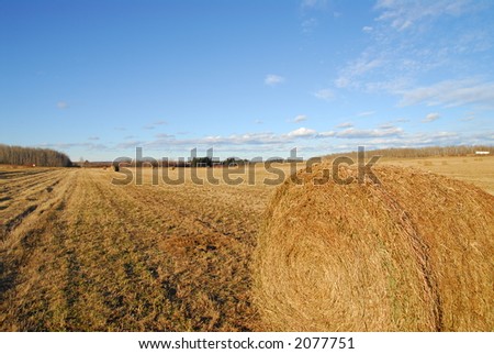 colourfull Harvested Rolls of Straw with deep blue sky as background