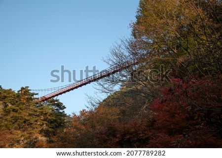 View of a suspension bridge in the autumnal mountain