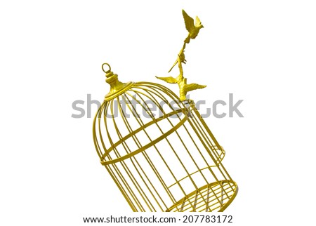save selection to clipping path art empty bird golden cage