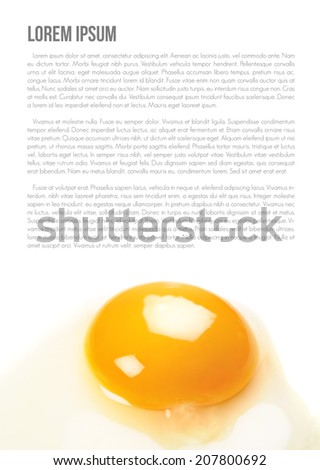 closeup fresh eggs isolate on white