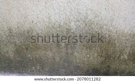 moss background on plaster wall at home
