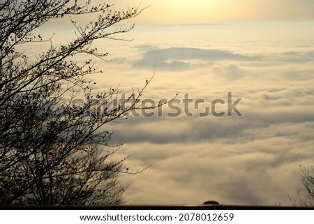 Scenic autumn landscape with trees and forest at region Uetliberg Albis, Canton Zürich, on a sunny and foggy autumn afternoon. Photo taken November 12th, 2021, Zurich, Switzerland.