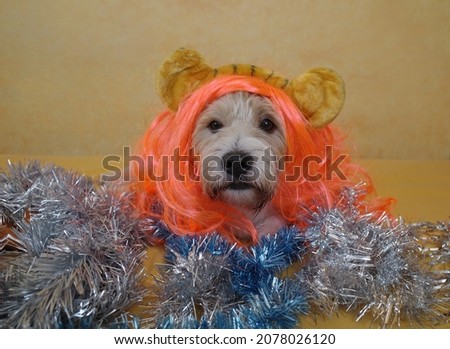 a young cute dog in an orange wig and tiger ears costume lies on a sofa with Christmas tree tinsel and looks at the camera. Festive background, New Year. Humor.