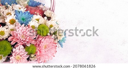 Multicolored flowers, a large bouquet, close-up on a light concrete background. Congratulatory botanical banner, postcard with a place for text, copy space, top view