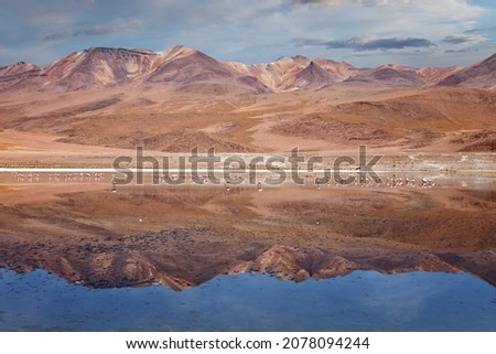 Landscape of flamingos and volcanoes in the Hedionda (stinking lake) lagoon, north of Lipez, Bolivian altiplano