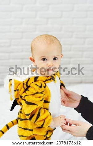 mom plays with a small child in a tiger costume on a white background. Year of the Tiger