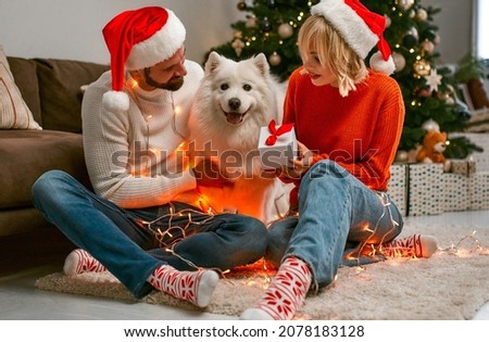 Merry Christmas and Happy New Year! Happy couple with dog  is waiting for the New Year together in Santa Claus hats while sitting near beautiful Christmas tree at home.