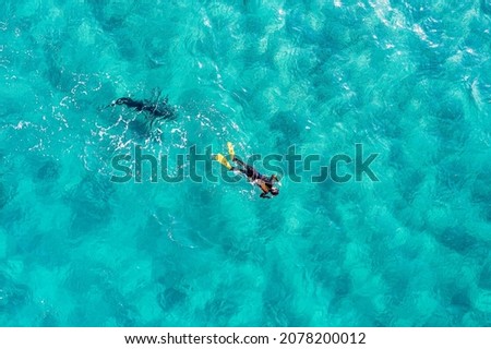 Drone top view of snorkel diver  with big shark