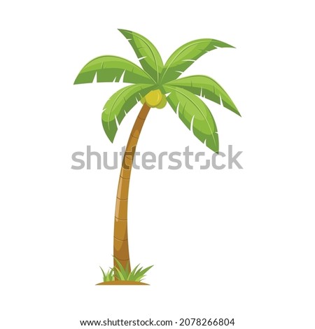 coconut tree, palm tree illustration vector design