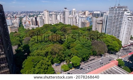 Preservation area on Av Paulista, São Paulo. Trianon Park and office buildings in the background Royalty-Free Stock Photo #2078268640