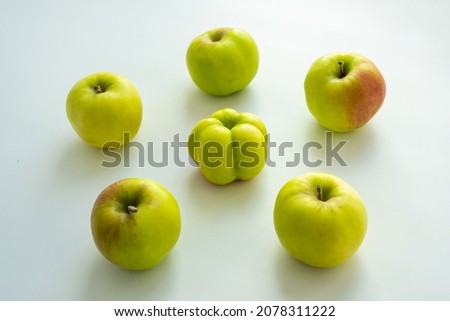 The interesting, unusual, strange apple. An ugly apple surrounded by ordinary ones. The photo symbolizes individuality , leadership , personal characteristics , self-acceptance . Royalty-Free Stock Photo #2078311222