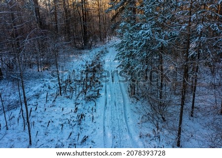aerial view of winter forest covered in snow. drone photography.