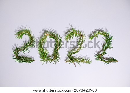 Numbers 2022 made from Christmas tree branches isolated on white wall. The symbol of the New Year. Copy space. 