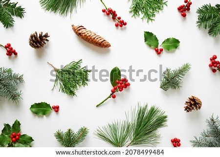 Collection of decorative Christmas plants with green leaves and holly berries. Winter natural decoration.