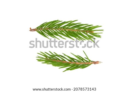 Two branches of spruce isolated on white background Royalty-Free Stock Photo #2078573143