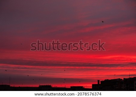 city sunrise close up red sky