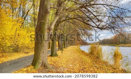 Autumn landscape. Falling leaves. Alley along the river.