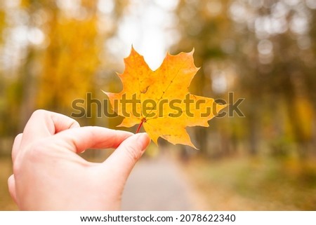 Late fall and early winter. Goodbye november. Goodbye autumn