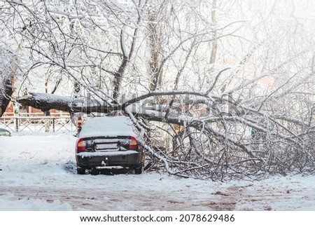 tree fell after heavy snowfall and crushed the cars parked near the house. Royalty-Free Stock Photo #2078629486